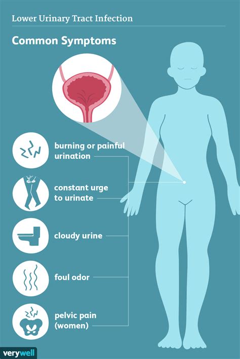  Diagnosis can be tricky since many first warning signs mimic a urinary tract infection
