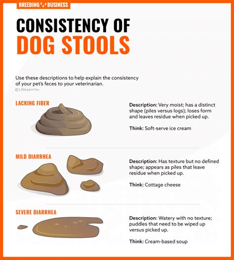  Diarrhea Loose stools are the main indicator of diarrhea in dogs, but other symptoms may include a loss of energy; lack of appetite; weight loss; abdominal pain; and vomiting