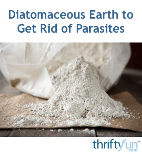  Diatomaceous Earth for Parasites Holistic practitioners often turn to diatomaceous earth for parasites, including whipworms, roundworms, pinworms, and hookworms