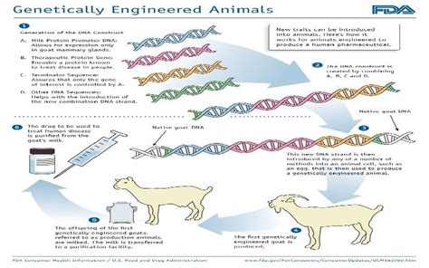  Did you know? Time is the biggest enemy of rarity when it comes to genetics in animal breeds