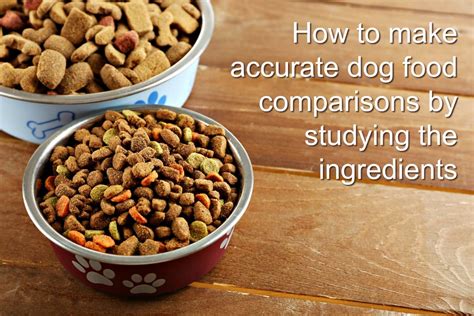  Did you know that there is a big difference between puppy food and adult dog food? It may be hard to know where to start, but I will break it down for you! In their full size, they are big dogs