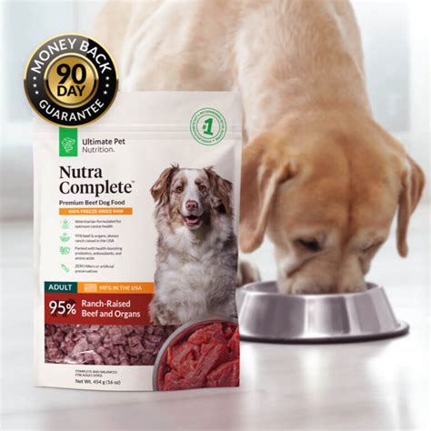  Dietary supplements such as Nutra Thrive dog food supplement can contribute to replenishing essential foodstuffs in the body and promoting the health of coat, skin, or teeth, as well as heart, brain, and other vital organs