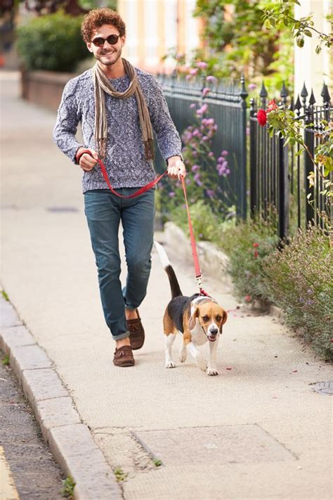  Discover the dynamic dog-friendly scene in St