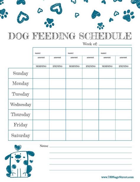  Do not forget that although the feeding schedule is important, we cannot forget about giving our dogs plenty of exercise! Long walks will encourage a healthy life for your Bernedoodle and for you