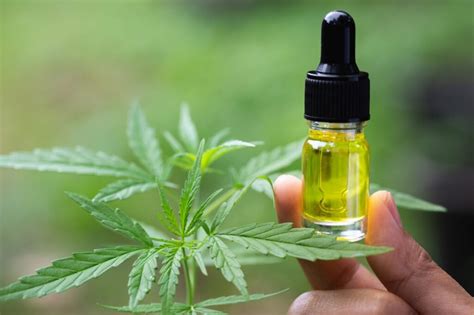  Do not worry in case of accidental miscalculations and giving high CBD doses