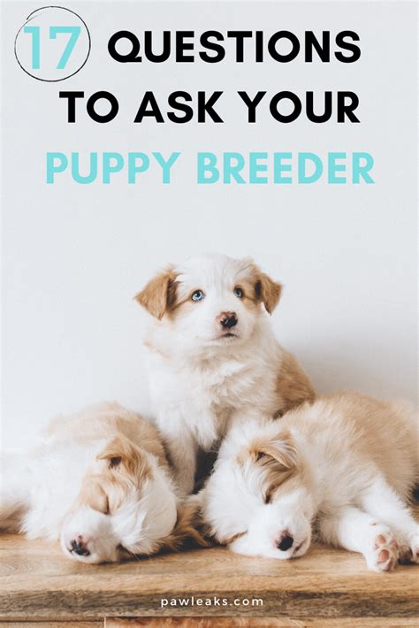  Do your research and ensure you are choosing a responsible breeder that can provide you with a healthy and happy pup
