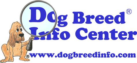  Dog Breed Info Center