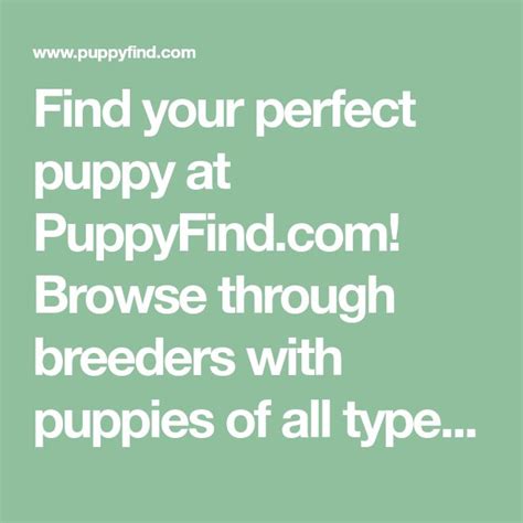  Dog Breeder Directory Puppyfind