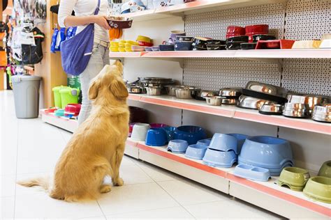  Dog Clubs, Pet Stores, and Pet Supplies To do this, you can start by asking around existing dog clubs or even dog shows in your area