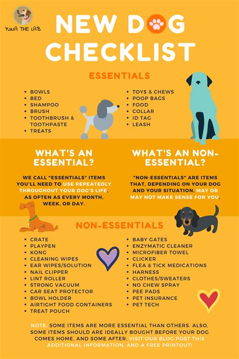  Dog owners, especially the new ones, are expected to know more than just the essential traits and appearance of the pups they are choosing