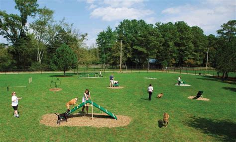  Dog parks provide a safe and secure environment for your pup to play and socialize with other dogs
