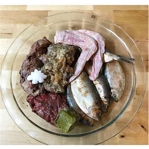 Dog raw food for your Frenchie suggestion 2 Thread herring, duck wings, green tripe, ground beef lung, ground beef organs, coconut oil, salmon oil, apple cider vinegar, vit e, and special k-cube