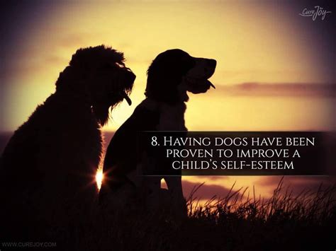  Dogs who can coexist in harmony tend to be happier and friendlier and have less tendency to suffer from depression