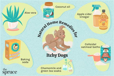  Dogs with itchy skin can also get a lot out of CBD products