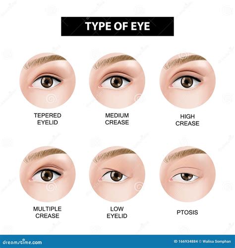 Draw numerous creases and folds around each eye, especially in the middle of the two