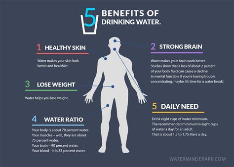  Drinking a lot of water does not work to cheat a drug test, or get rid of the drug faster from your body