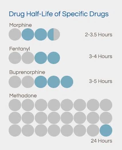  Drugs and Their Half-Lives Every drug has a specific half-life
