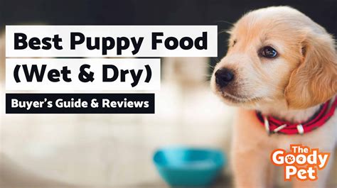  Dry and canned foods are designed to provide all of the nutrients that your puppy needs to grow and be healthy