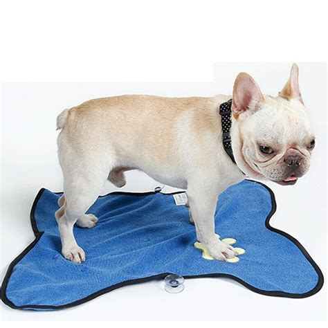  Dry your English Bulldog with towels
