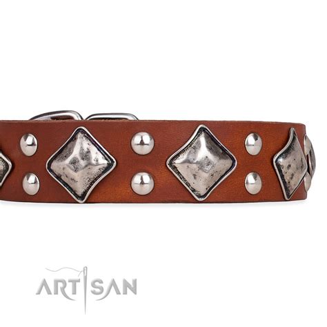  Due to these adornments, this full grain natural leather Boxer collar has a spark