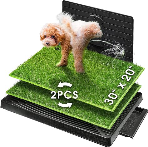  During play sessions, we use artificial grass pads so your puppy will get used to going on a grass