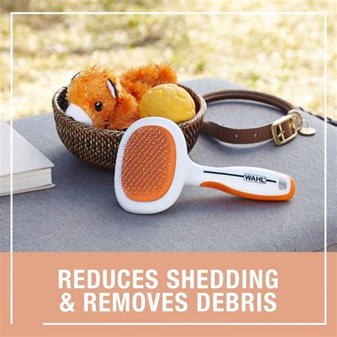  During the shedding time, frequent brushing is required to prevent the mess caused by heavy shedding