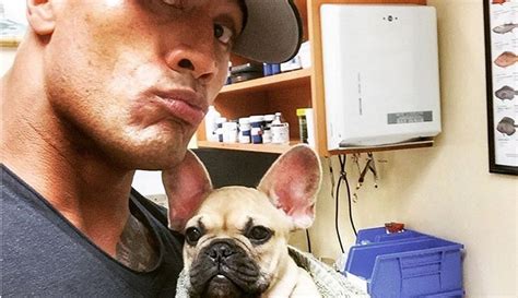  Dwayne "The Rock" Johnson shared a heartbreaking story on his Instagram about his new puppy, who you may recall almost drowned just a few weeks ago