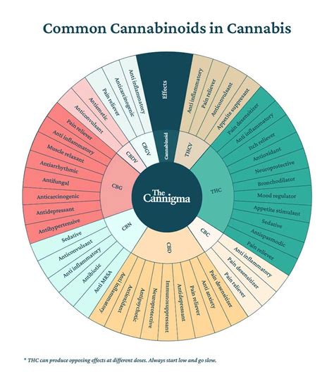  Each cannabinoid has different effects in the body