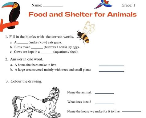  Each correct answer provides to help support shelter animals