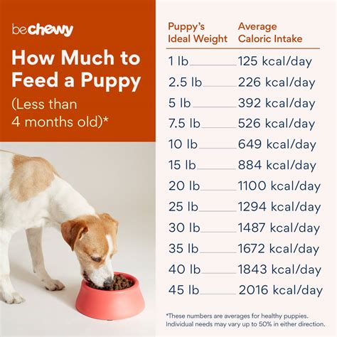  Each puppy food company has a different amount of calories and size of the kibble