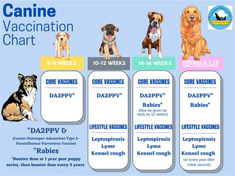 Each puppy will be up to date on vaccines and have a one year health guarantee