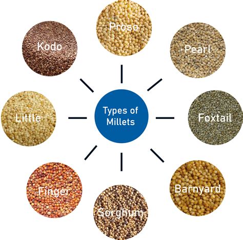  Each serving also contains fiber-rich oats, along with millet, milo, and ground flaxseeds