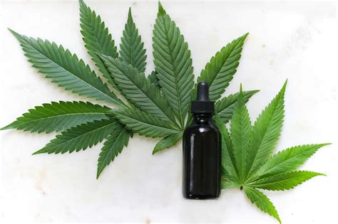  Edible: What Should You Choose? Cannabis tinctures and edibles are two common forms of CBD products