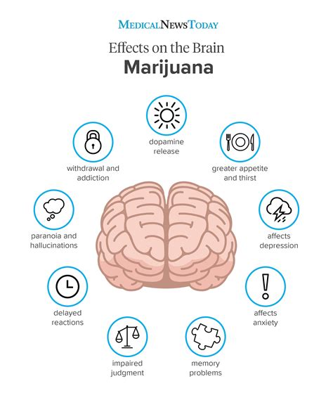  Effects appear almost immediately after smoking cannabis