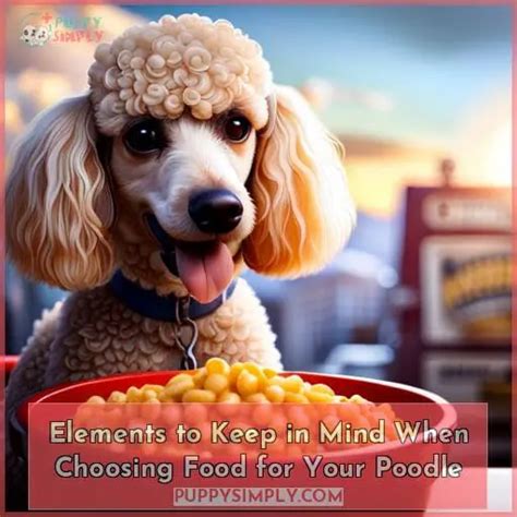  Elements to Keep in Mind When Choosing Food for Your Poodle What to avoid: It