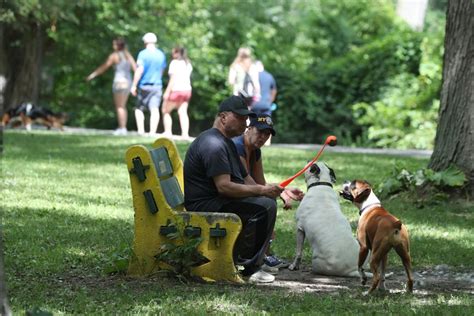  Enjoy quality time with your pup at popular dog parks such as the Amherst Paw Park or the Ellicott Island Bark Park, ideal for a scenic walk