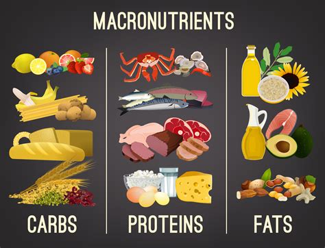  Ensure adequate carbohydrates, proteins, and fat