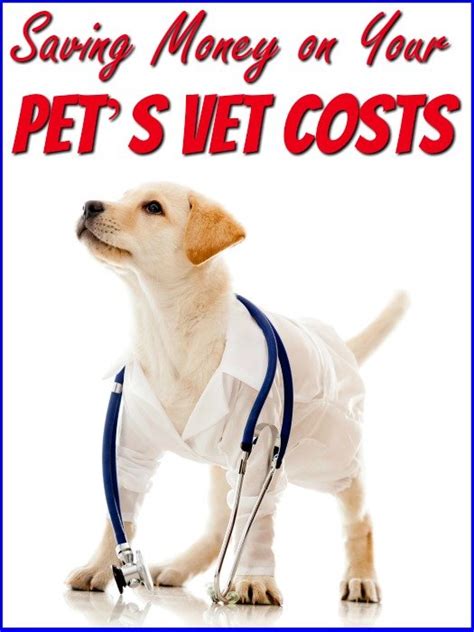 Ensure you have enough money for all the vet treatments as well as a little extra in case there is an emergency