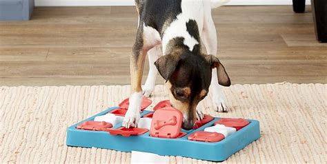  Entertaining dog toys, especially puzzles, are a great way to prevent boredom, depression, and destructive habits, as well as encourage them to learn problem-solving skills