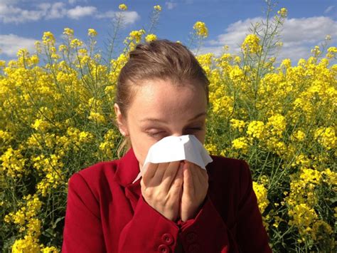  Environmental allergies may also be due to substances like cleaning products, mold, pollen, dust, and fleas
