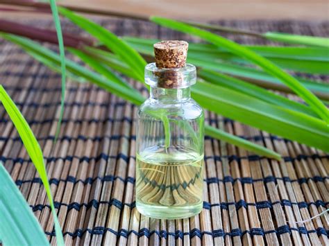  Essential oils have been used for centuries for everything from natural bug-repellant to easing anxiety