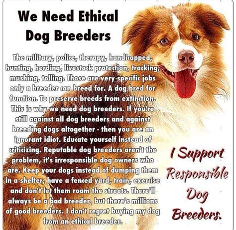  Ethical breeders provide health screenings for their puppies and answer all your questions regarding their parents, breeding, and living conditions