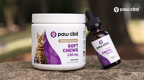  Even if a veterinarian fully supports CBD use in pets and is aware of possible benefits of hemp-derived CBD, discussing it with pet parents could put their medical license at risk in most states