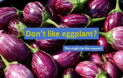  Even in humans, most people disagree with liking eggplants—it