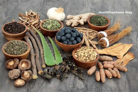  Even the earliest humans used herbs to treat various health concerns