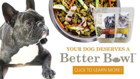  Experience the perfect harmony of palatable flavors and well-being benefits that your dog deserves