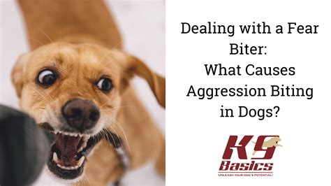 Expressing Emotion If your pup feels threatened or afraid it may react with aggression and biting