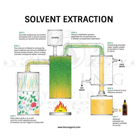  Extraction of Solvents Solvents are an inexpensive way of extracting oil from the hemp plant