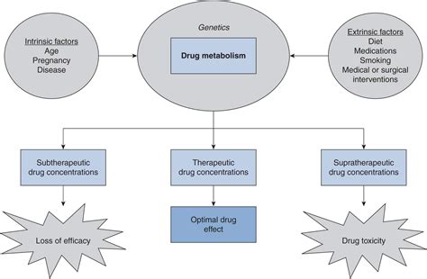  Factors such as metabolism, body mass, frequency of drug use, and the type of drug can influence the outcome
