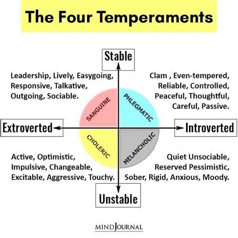  Fantastic temperaments and personalities